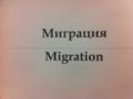 Cspp-migration.JPG